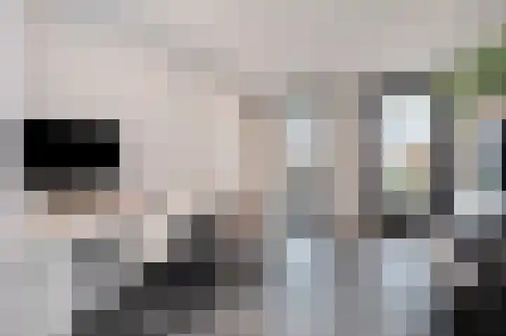 Omstraat 42 Born thumbnail 22