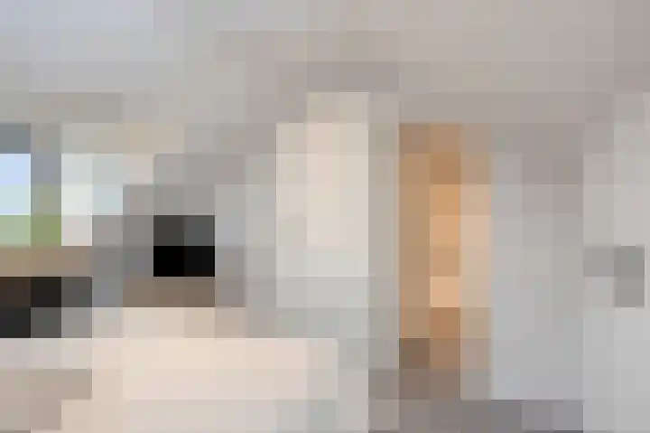 Omstraat 42 Born thumbnail 42
