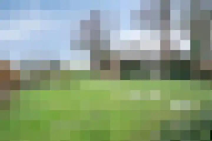 Omstraat 42 Born thumbnail 46