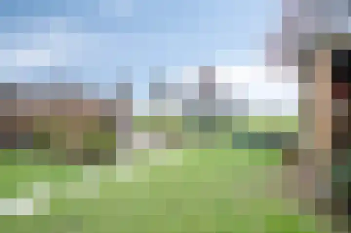 Omstraat 42 Born thumbnail 47