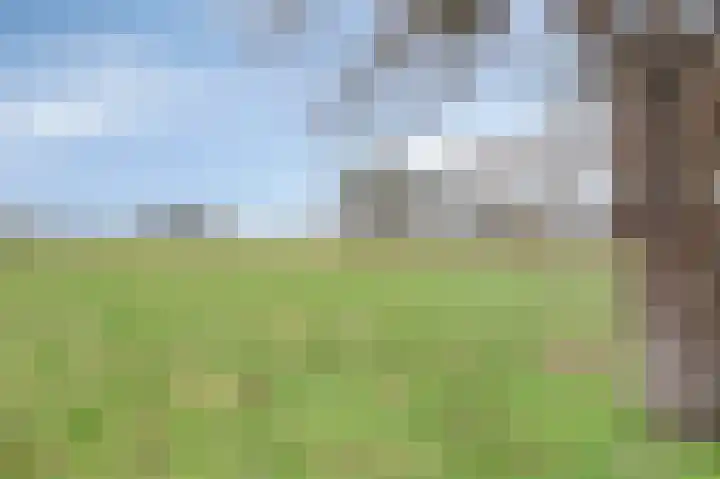 Omstraat 42 Born thumbnail 51