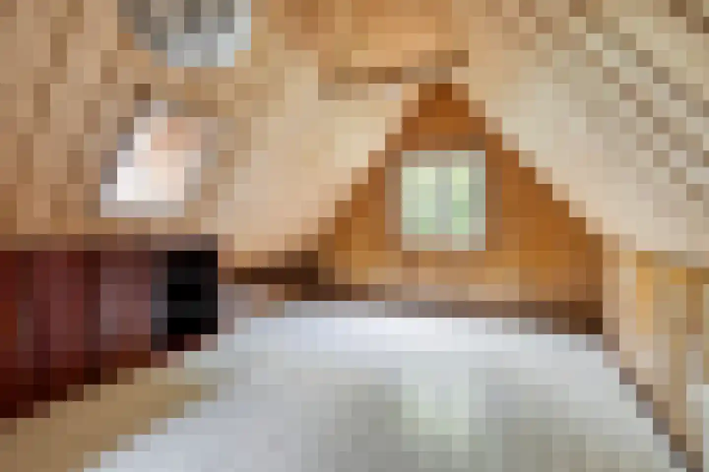 Omval 1 Alkmaar thumbnail 17