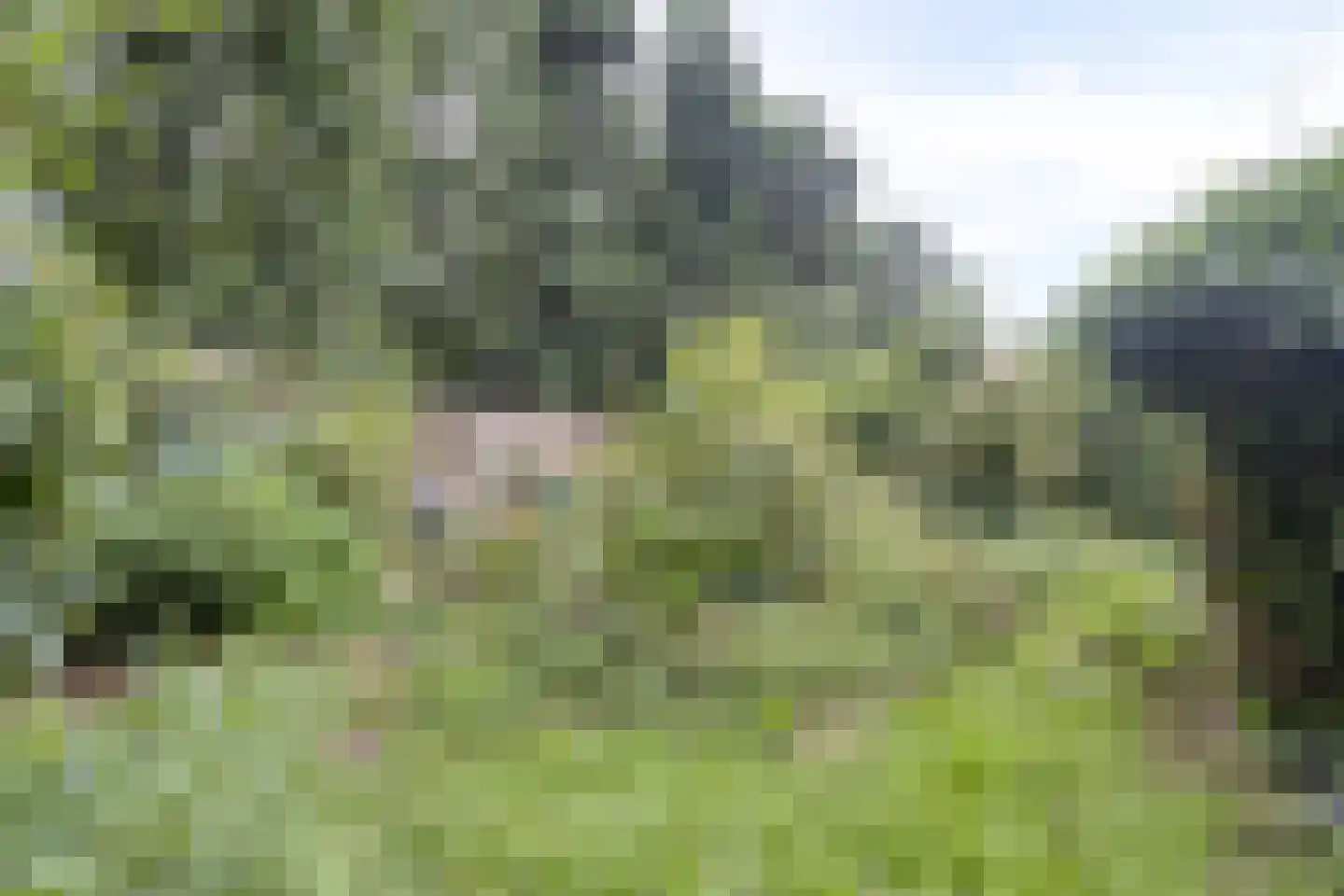 Omval 1 Alkmaar thumbnail 22