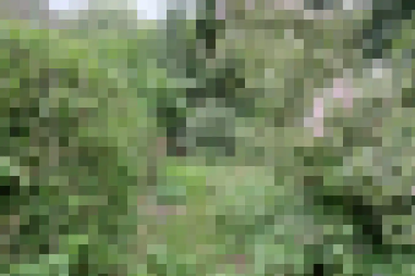 Omval 1 Alkmaar thumbnail 26