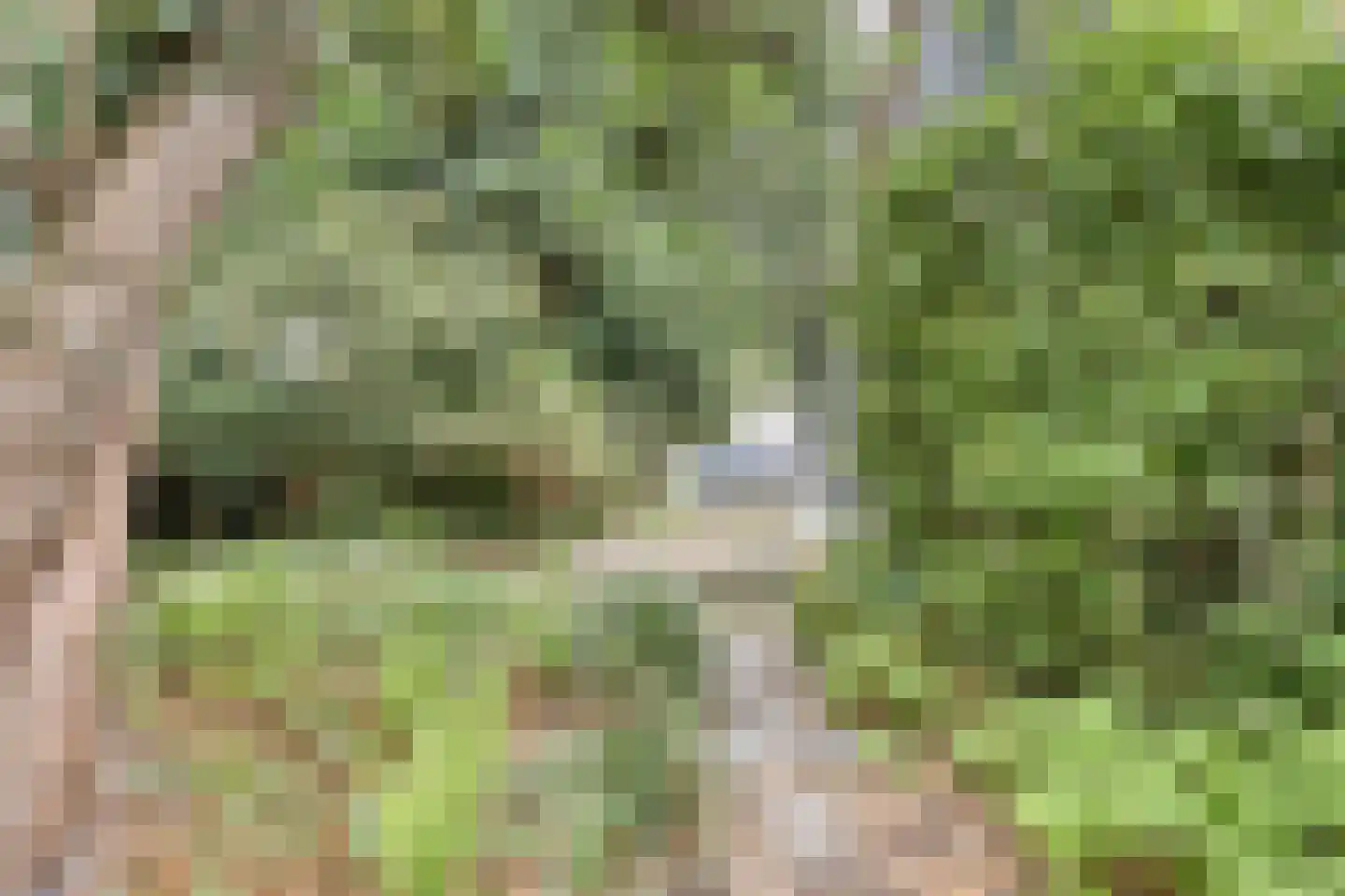 Omval 1 Alkmaar thumbnail 29