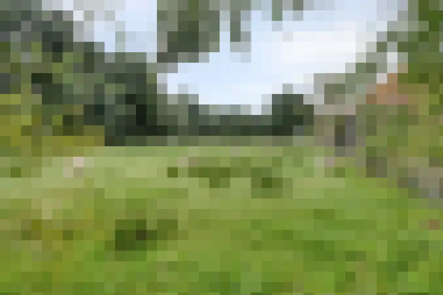 Omval 1 Alkmaar thumbnail 33