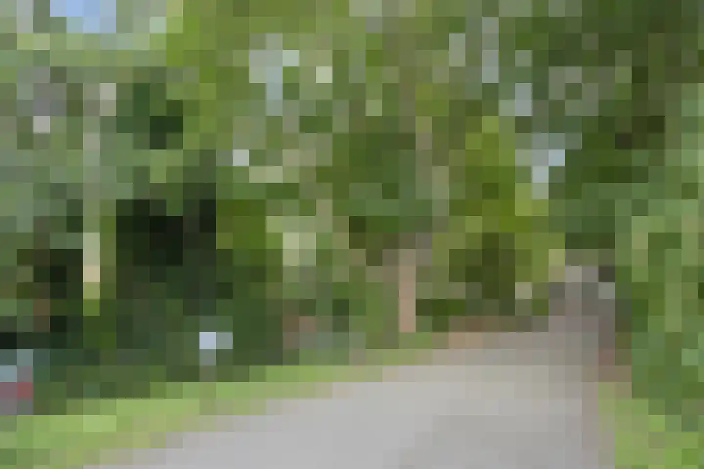 Omval 1 Alkmaar thumbnail 34