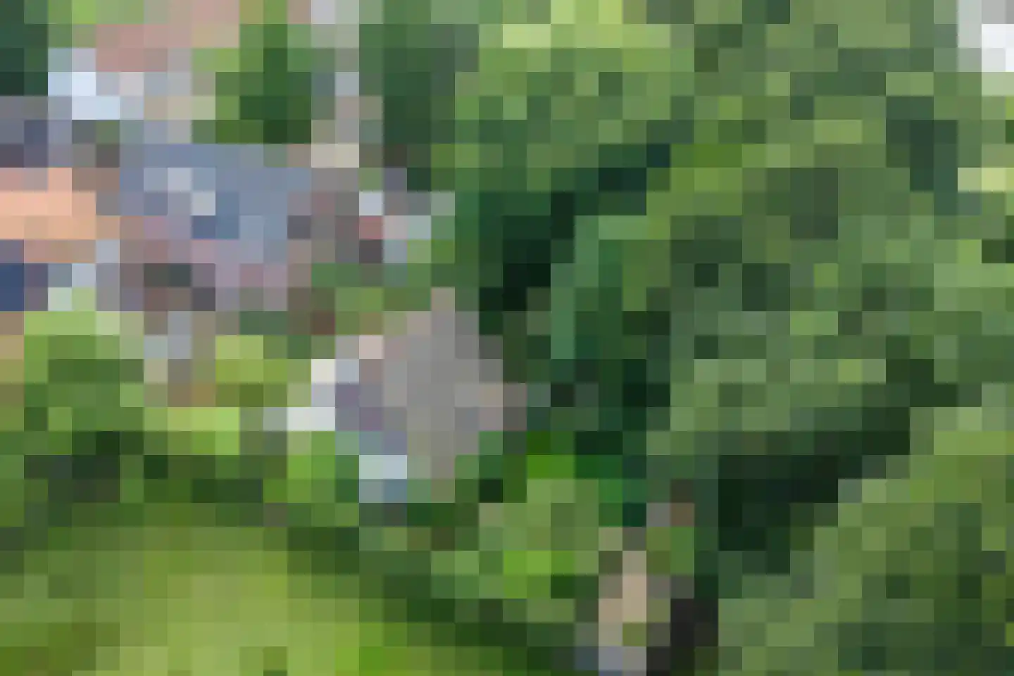 Omval 1 Alkmaar thumbnail 35