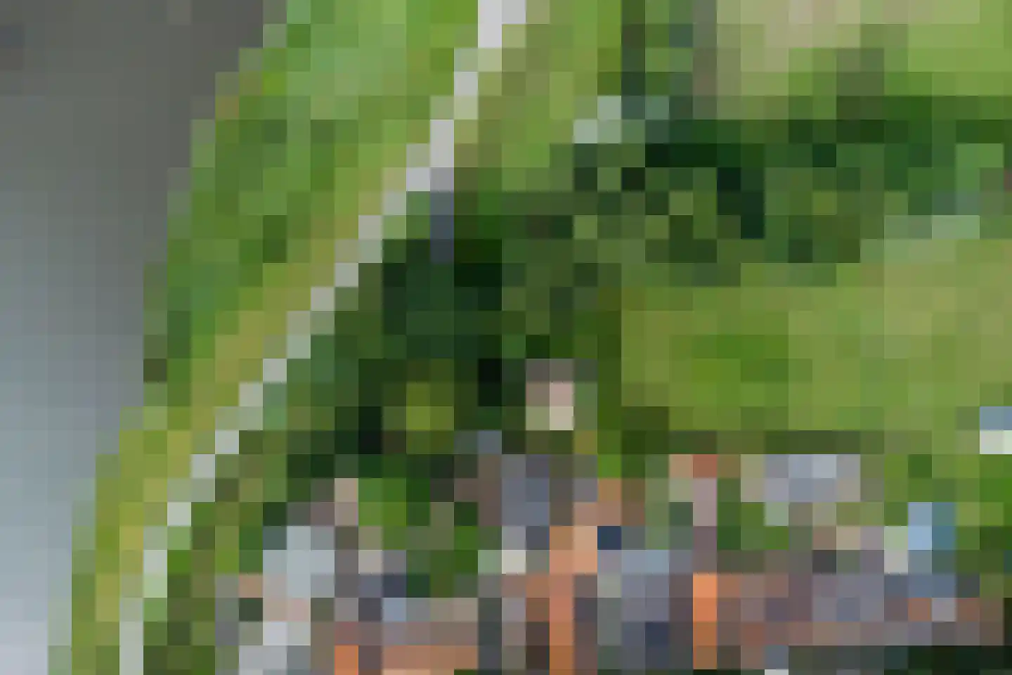 Omval 1 Alkmaar thumbnail 39