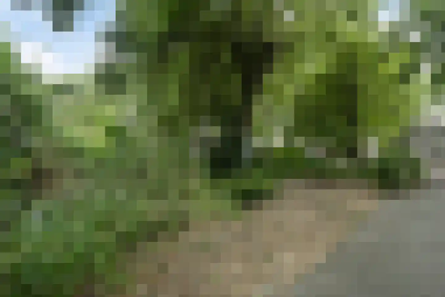 Omval 1 Alkmaar thumbnail 44