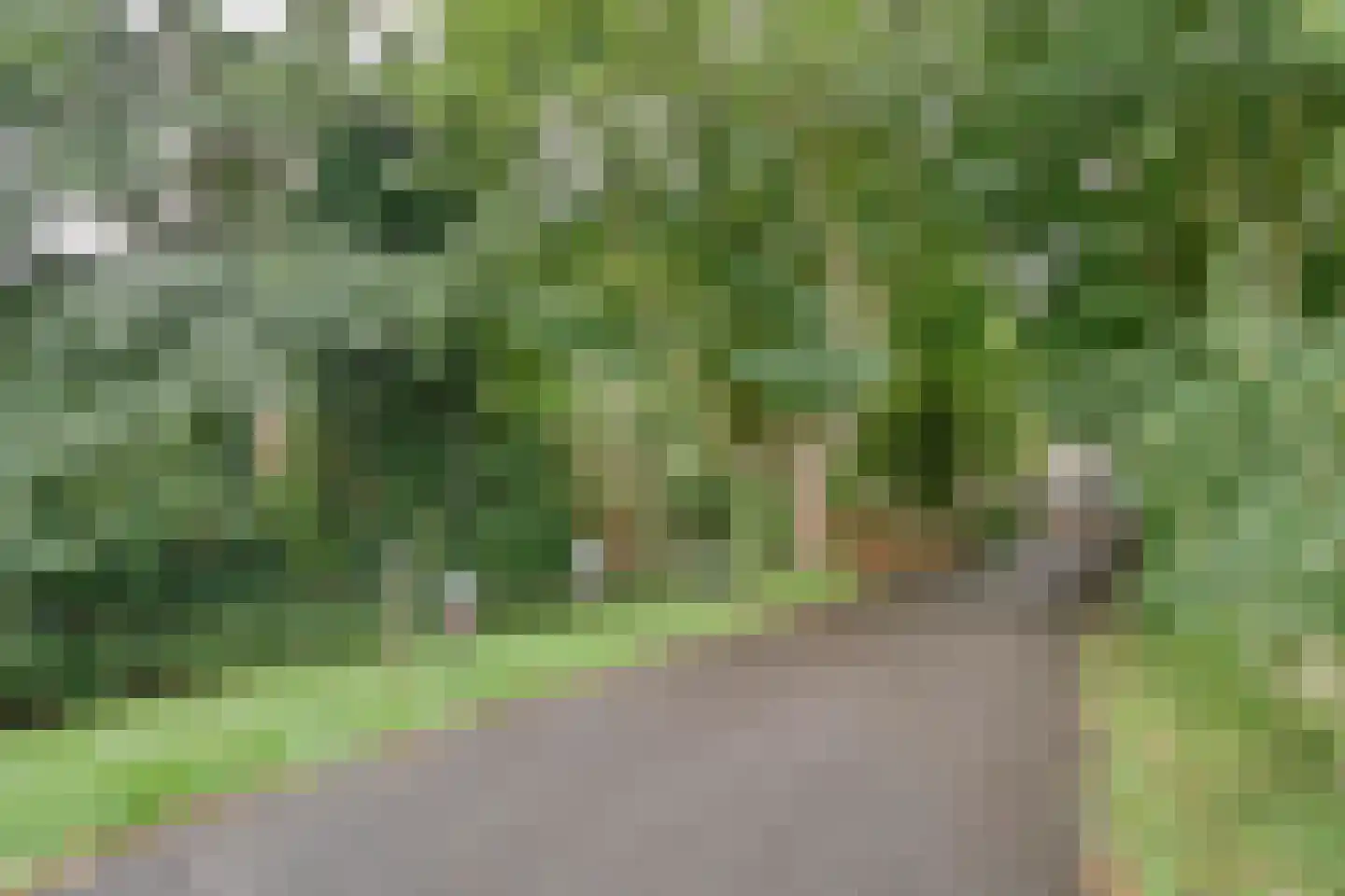 Omval 1 Alkmaar thumbnail 46