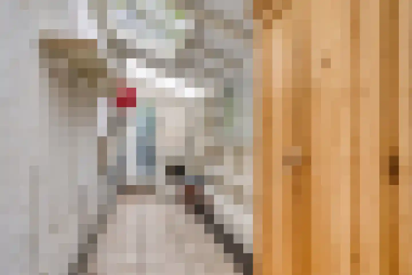 Omval 1 Alkmaar thumbnail 47