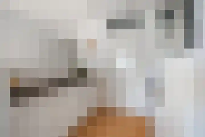 Omval 27 Amsterdam thumbnail 14