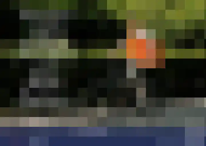 Omval 27 Amsterdam thumbnail 30