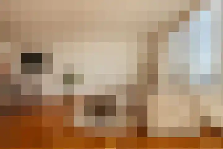 Omval 419 Amsterdam thumbnail 8
