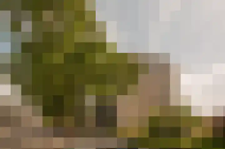 Omval 84 Amsterdam thumbnail 30