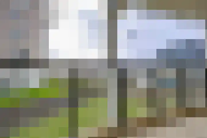 Omval 94 Amsterdam thumbnail 23