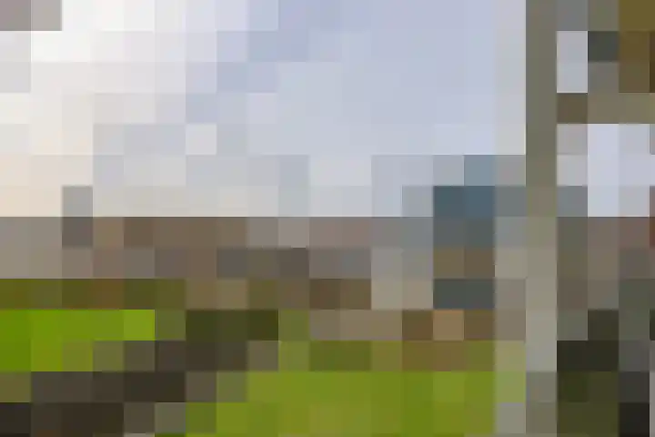 Omval 94 Amsterdam thumbnail 45