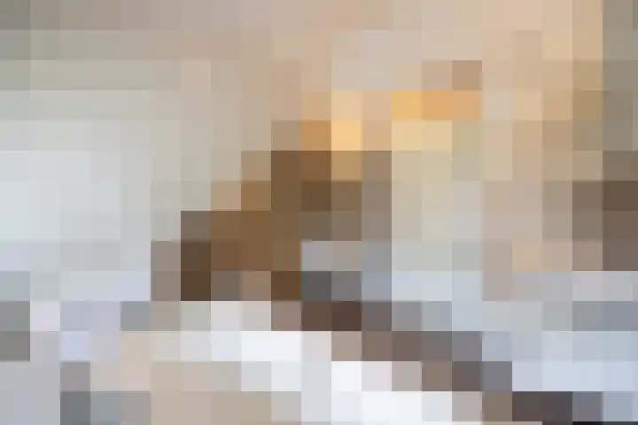 Onder de Bogen 12 Laren thumbnail 31