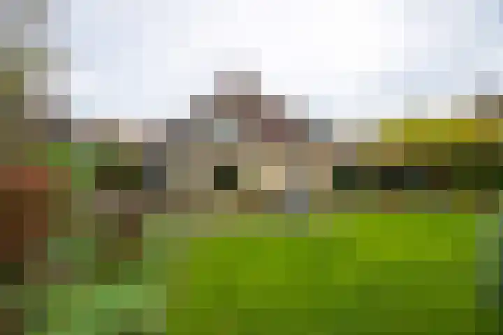 Onder de Bogen 12 Laren thumbnail 38