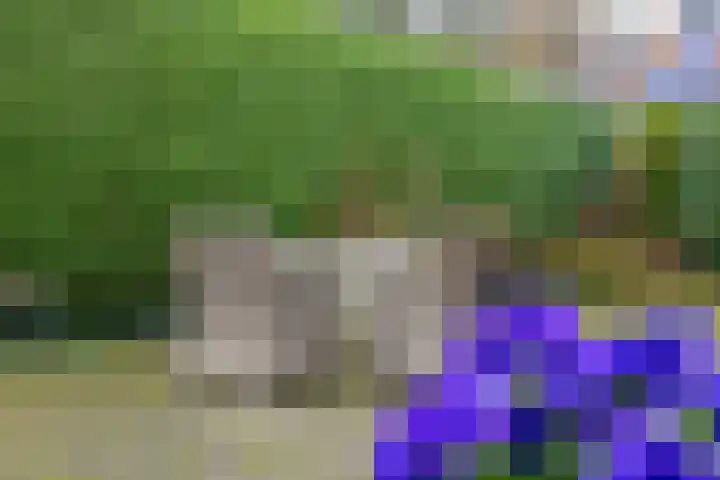 Onder de Bogen 12 Laren thumbnail 40