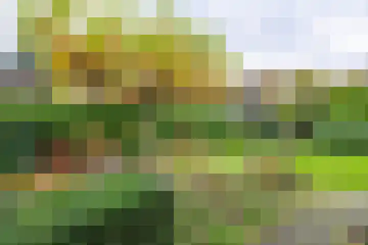 Onder de Bogen 12 Laren thumbnail 41