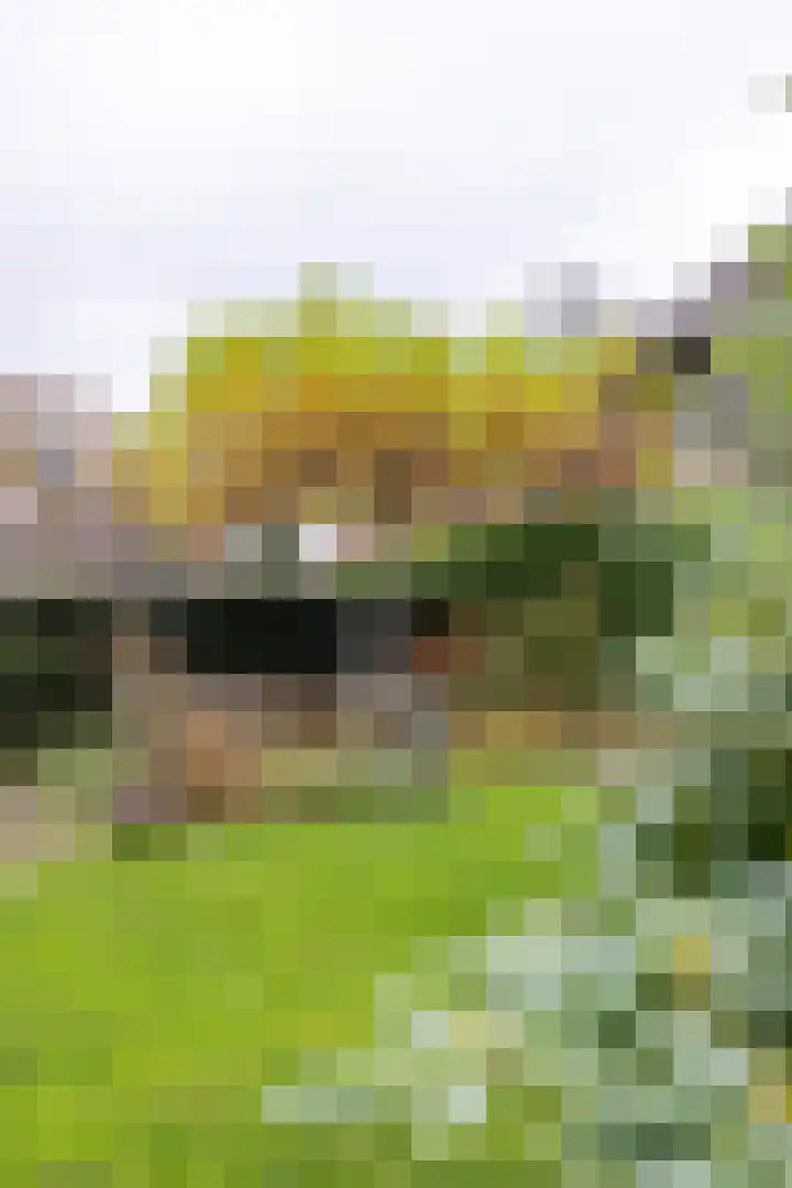 Onder de Bogen 12 Laren thumbnail 42