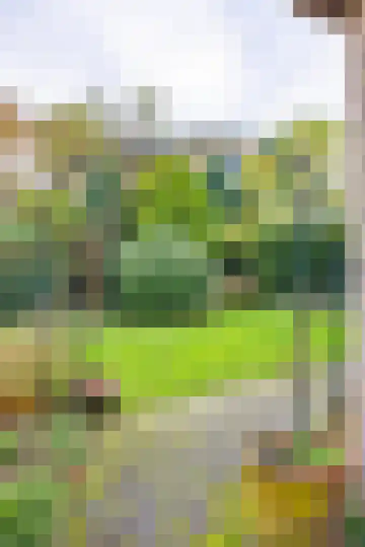 Onder de Bogen 12 Laren thumbnail 43