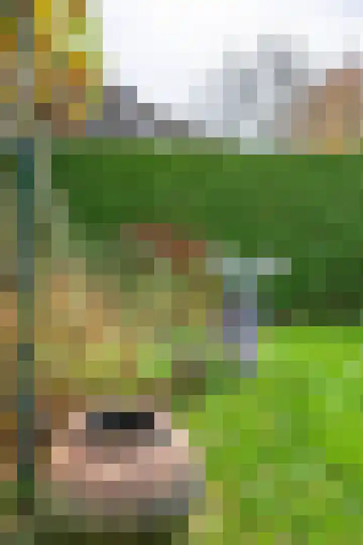 Onder de Bogen 12 Laren thumbnail 44