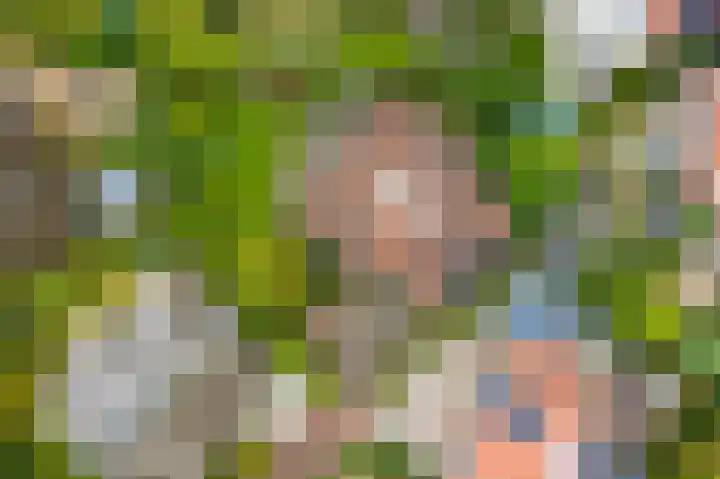 Onder de Bogen 12 Laren thumbnail 50