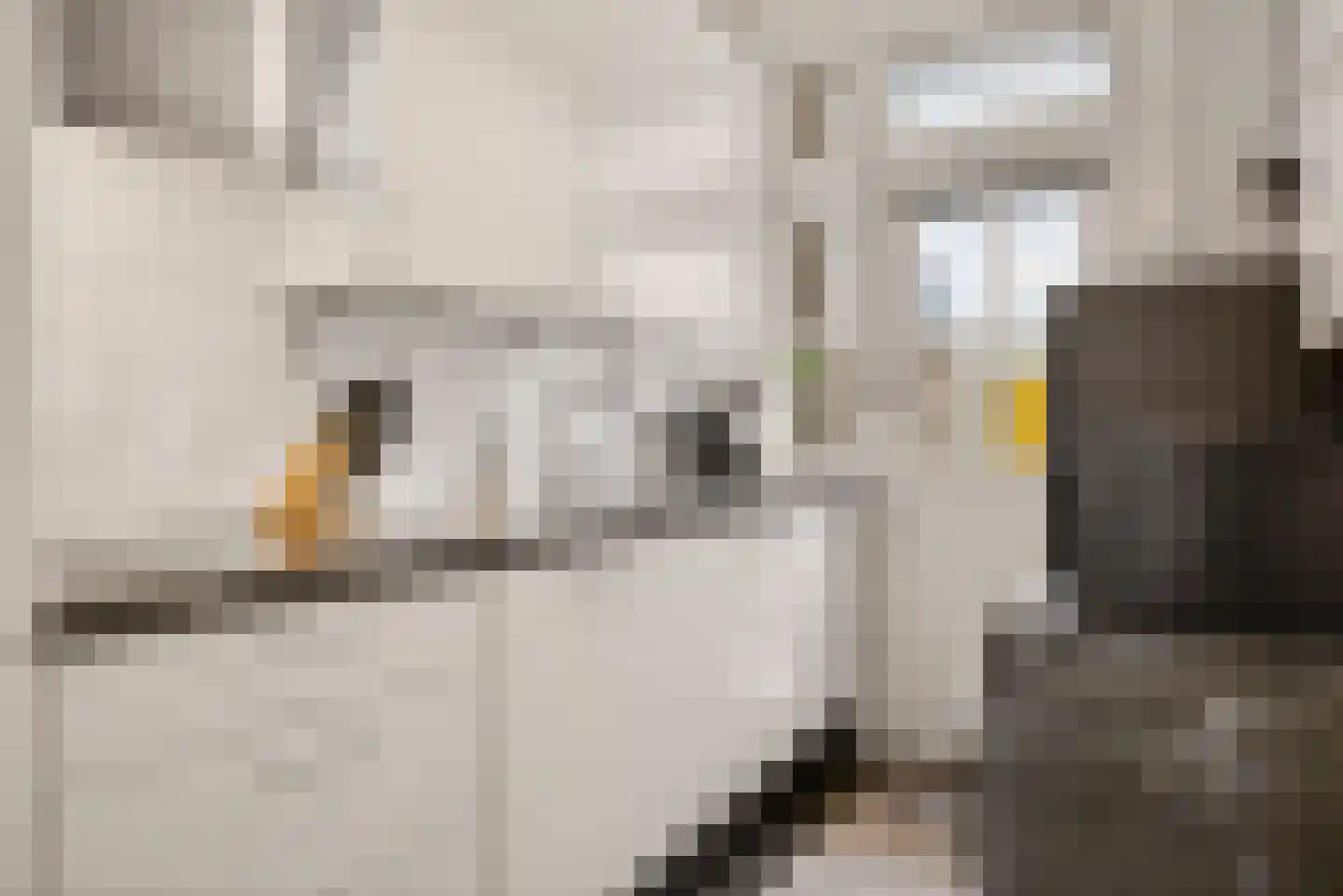 Onder de Linden 53 E Arnhem thumbnail 17