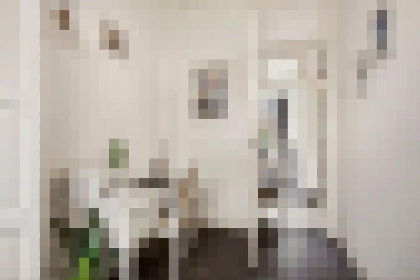 Onder de Linden 53 E Arnhem thumbnail 20