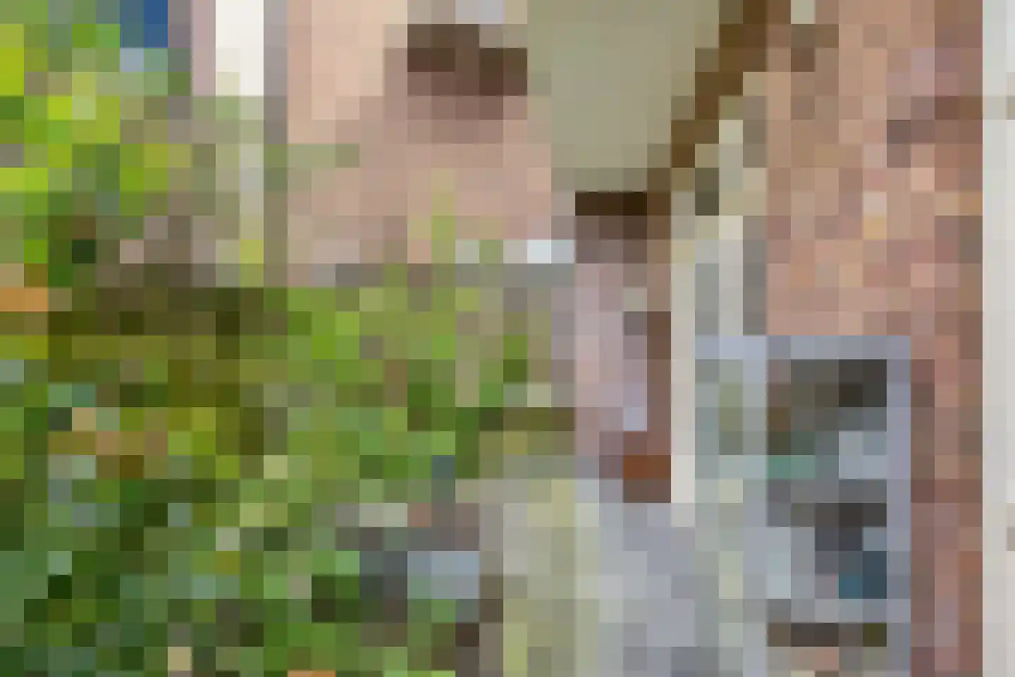 Onder de Linden 53 E Arnhem thumbnail 21