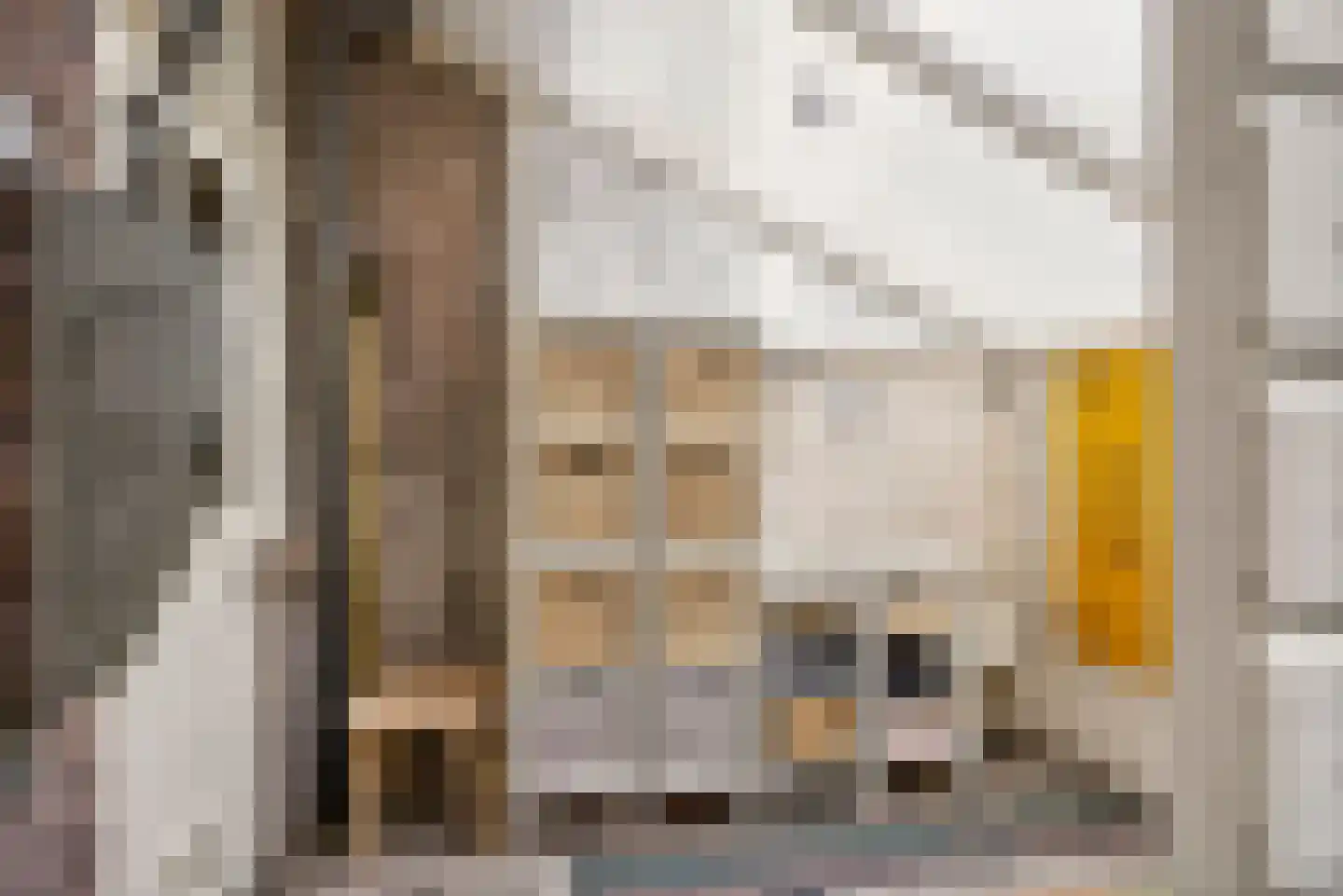 Onder de Linden 53 E Arnhem thumbnail 24
