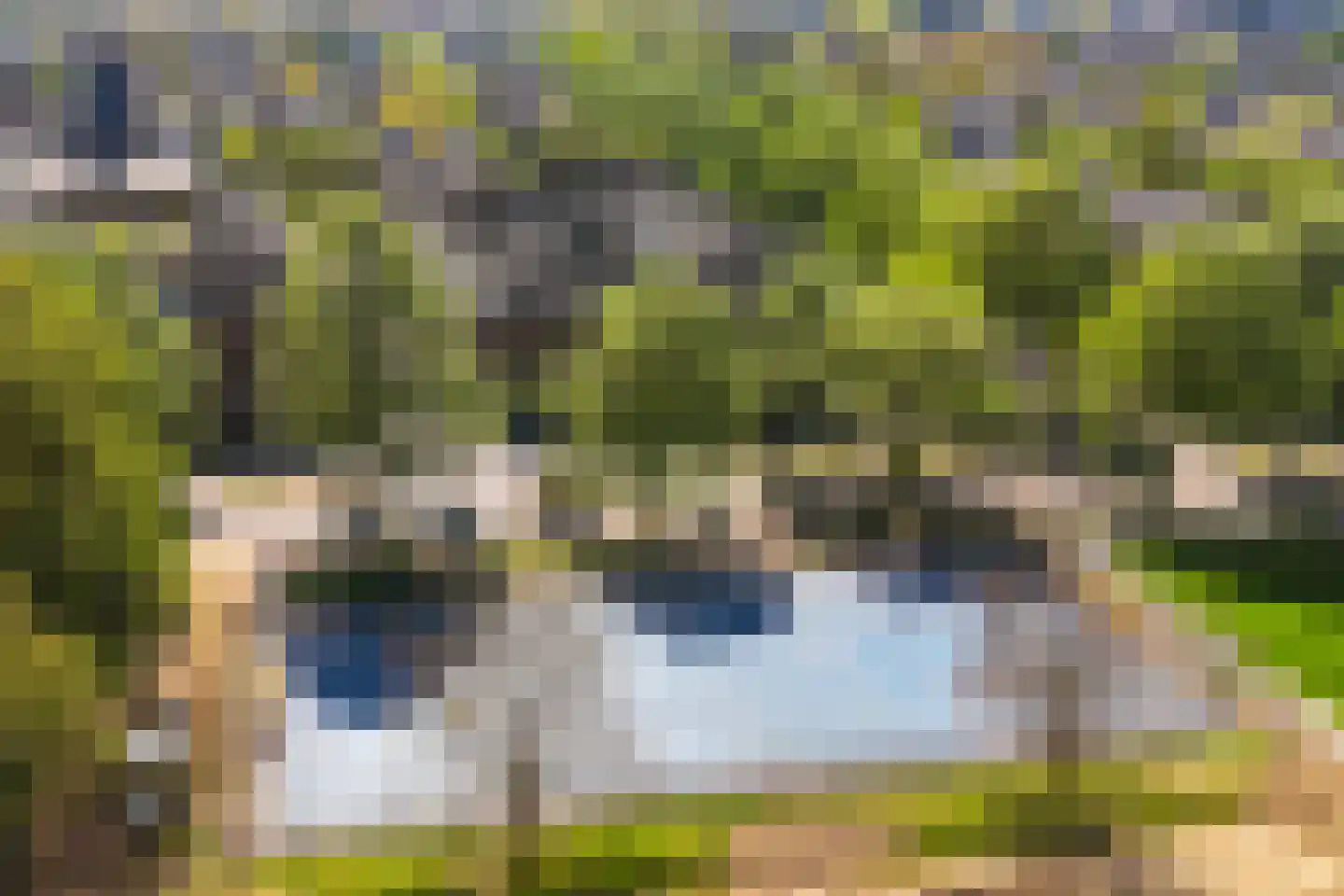 Onder de Linden 53 E Arnhem thumbnail 36