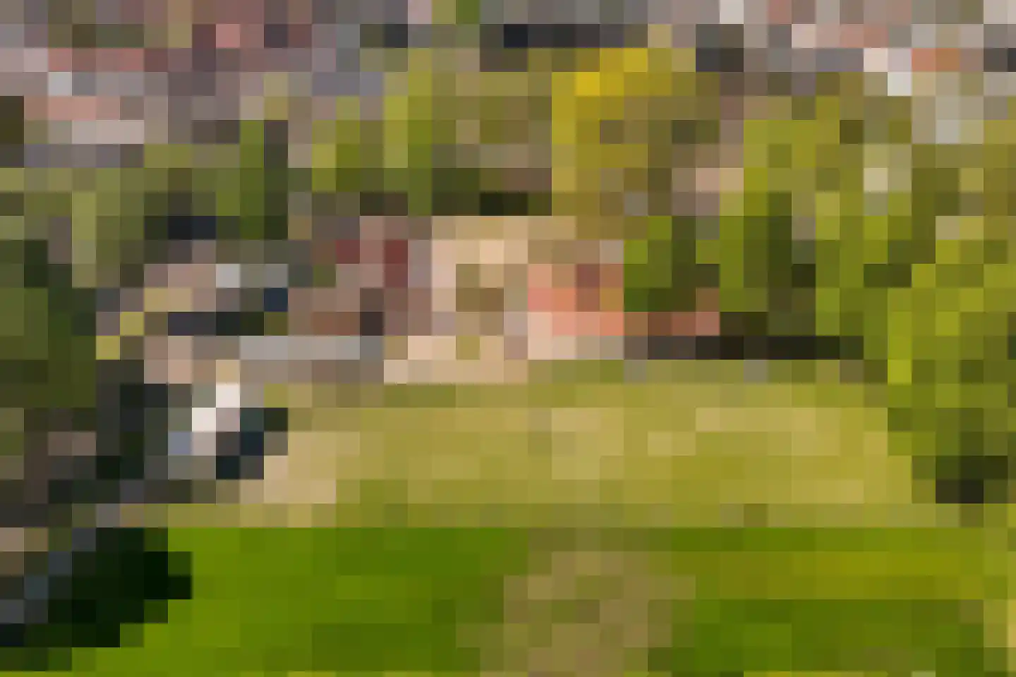 Onder de Linden 53 E Arnhem thumbnail 37