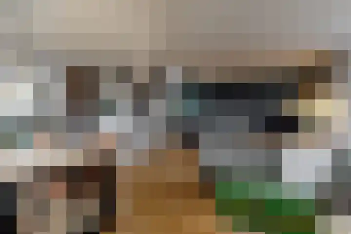 Onderdijk 35 Wervershoof thumbnail 10