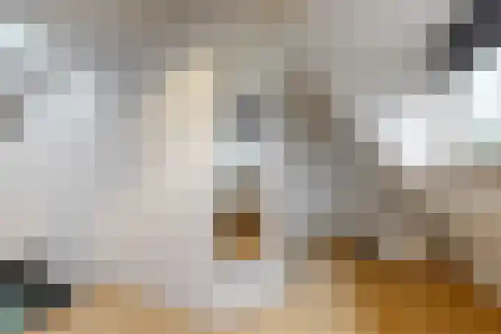 Onderdijk 35 Wervershoof thumbnail 20