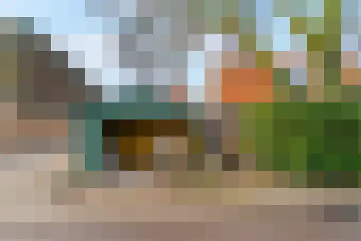 Onderdijk 35 Wervershoof thumbnail 28