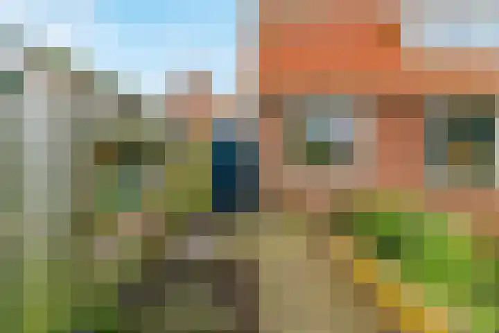 Onderdijk 35 Wervershoof thumbnail 29