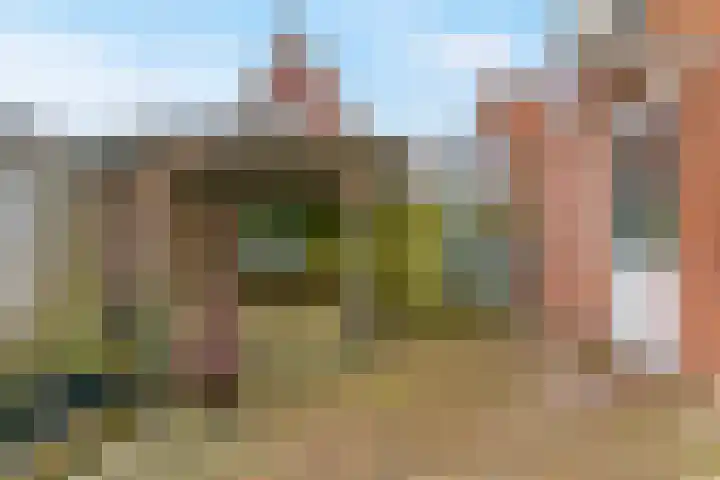Onderdijk 35 Wervershoof thumbnail 31