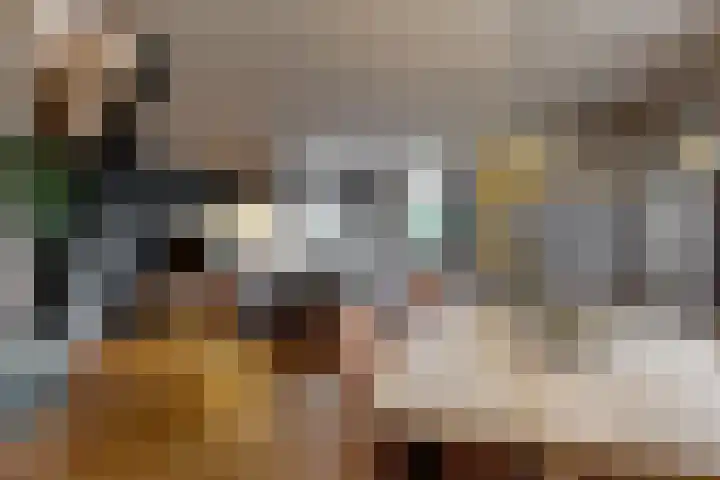Onderdijk 35 Wervershoof thumbnail 4