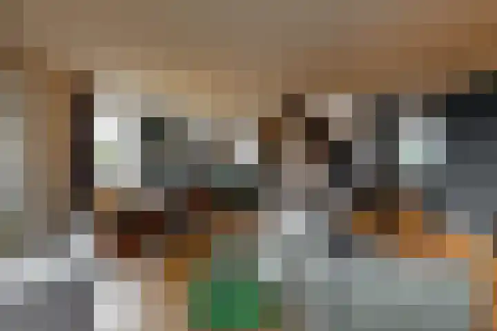 Onderdijk 35 Wervershoof thumbnail 9