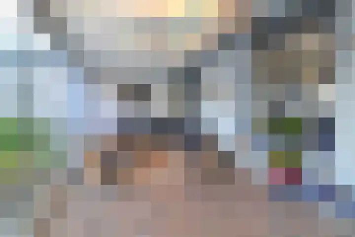 Onderduikerspad 14 A Espel thumbnail 10