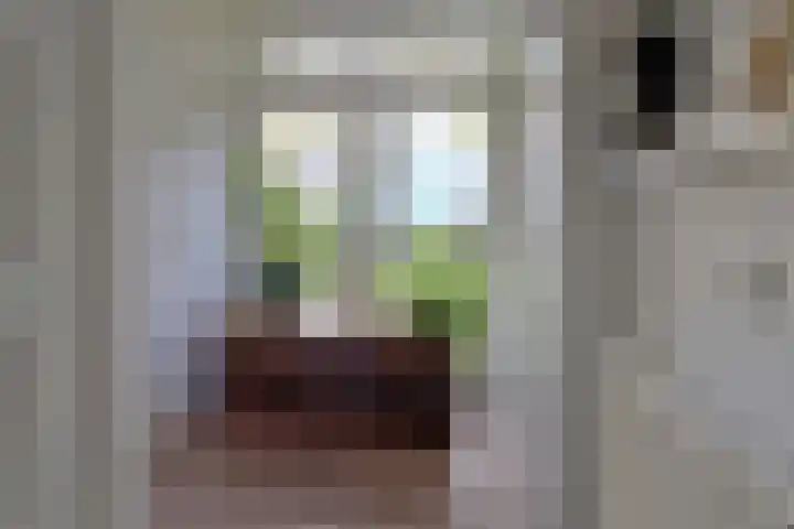 Onderduikerspad 14 A Espel thumbnail 15