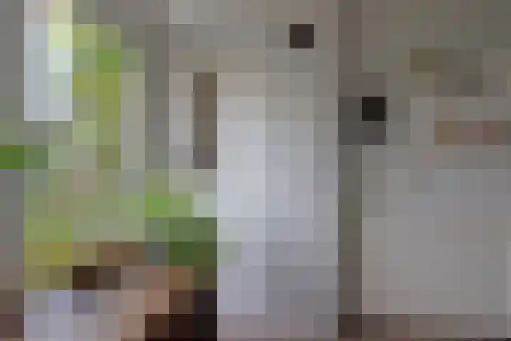 Onderduikerspad 14 A Espel thumbnail 16
