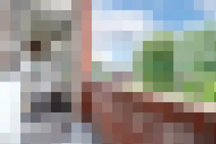 Onderduikersstraat 64 Groningen thumbnail 26