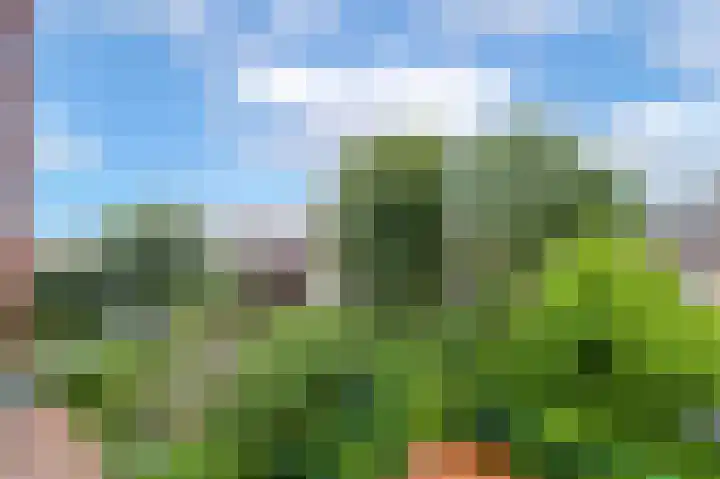 Onderduikersstraat 64 Groningen thumbnail 27