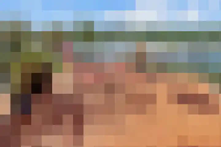 Onderlangs 24 Arnhem thumbnail 38