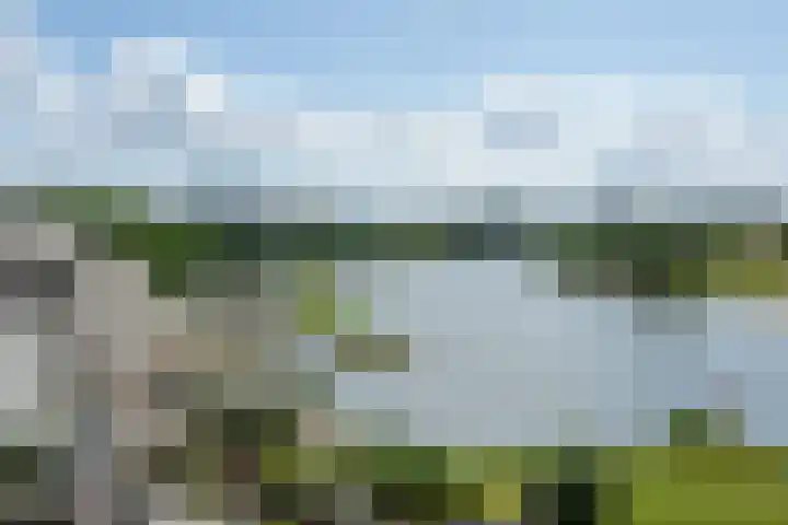 Onderlangs 24 Arnhem thumbnail 40
